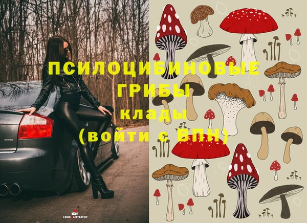 ешки Балахна
